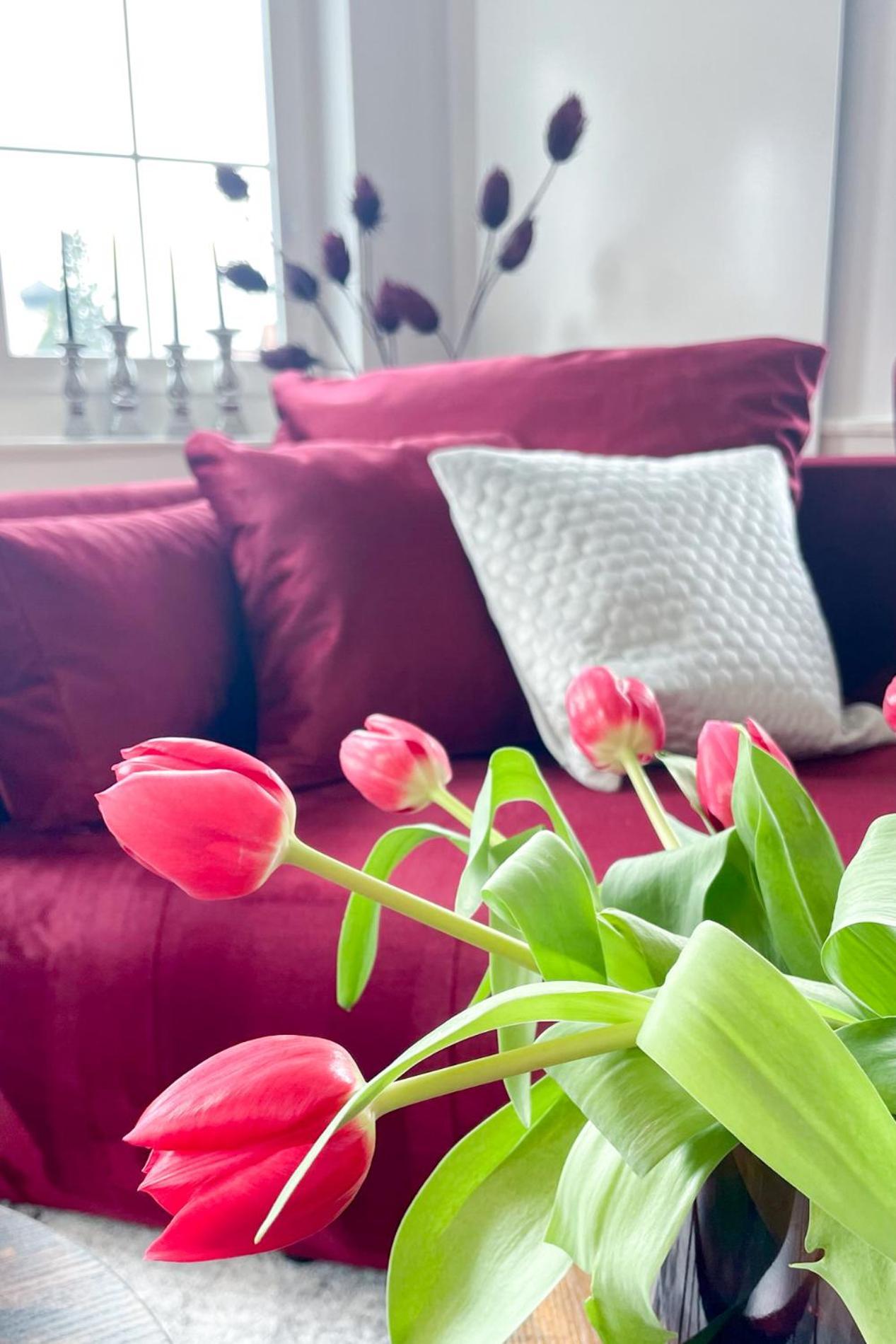 Velvet Ein Haus Mit Geschichte Im Herzen Tettnangs Messe Friedrichshafen Apartment ภายนอก รูปภาพ